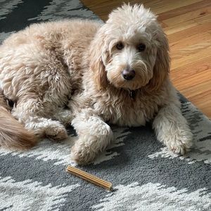 Meet your Posher, Steven